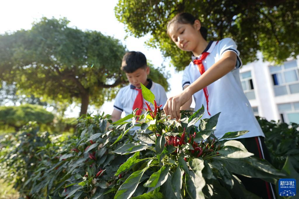百老汇客服平台